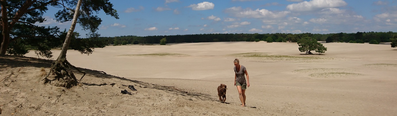 Verbinding en vertrouwen met hond