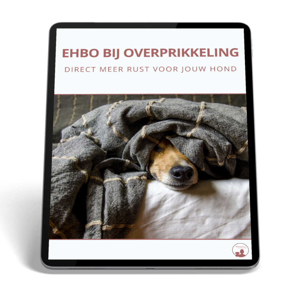 EHBO bij overprikkeling- direct rust en ontspanning voor je hond