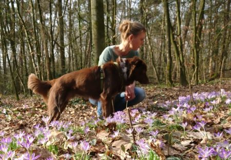 Ontspannen wandelen, ontdekken en beleven samen met je hond